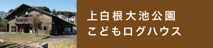 㔒rǂOnEX